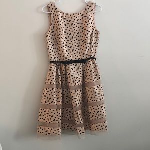 Vintage inspired Taylor dress